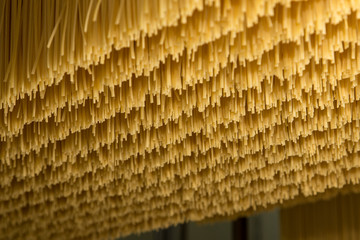 Stesura di spaghetti in fabbrica di pasta. 