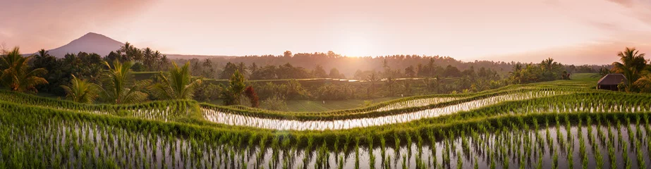 Fototapeten Bali Reisfelder. Das Dorf Belimbing auf Bali bietet einige der schönsten und dramatischsten Reisterrassen in ganz Indonesien. Das Morgenlicht ist eine wunderbare Zeit, um die Landschaft zu fotografieren. © LoweStock