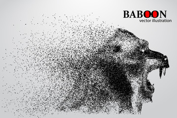 Obraz premium Silhouette of a baboon from particles.