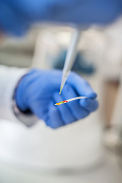 Laboratory technician working with test strips indicator paper