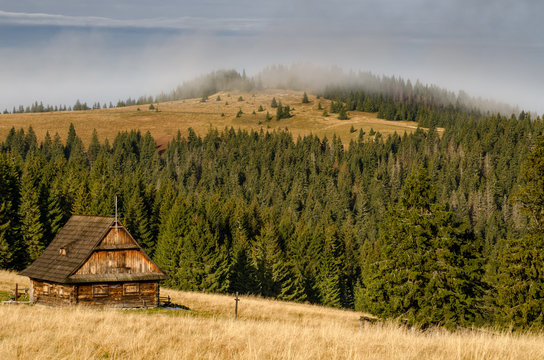 Gorce cabin