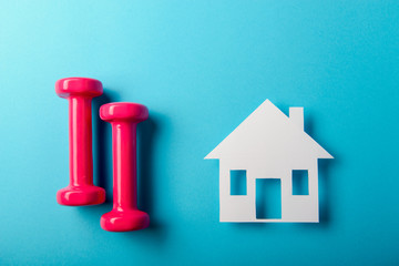 Pair of pink 1 kg dumbbells on blue background