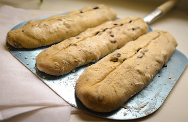 Artisan bread ready to bake in oven