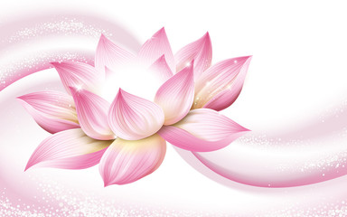 lotus flower background