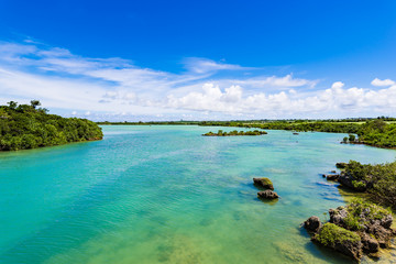 Fototapeta premium Coast, landscape. Okinawa, Japan, Asia.