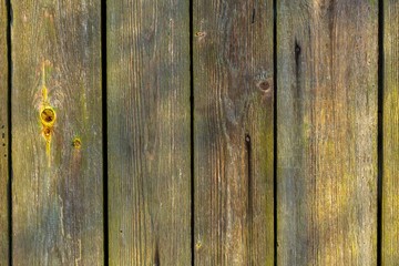 Close up of natural old wooden planks