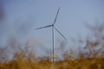 Windturbine at sunny day