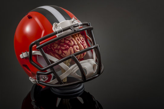 American football concussion protocol concept with a brain wearing a football helmet for protection with copy space