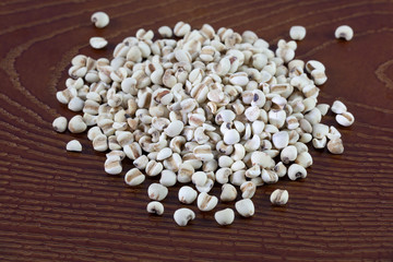 Millet rice bean or millet grains (Also called as pearl Millet i