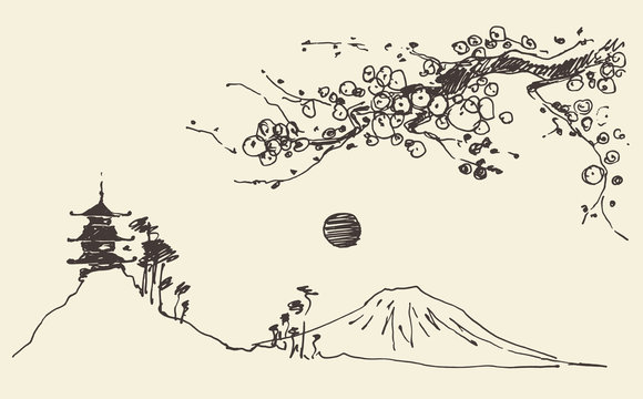 Sketch Fuji mountain pagoda blossoms Japan Vector
