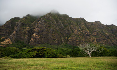 Beautiful Hawaiian landscape on a rainy day