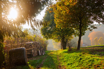 rural landscape with autumn colors