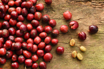 Fresh coffee bean on wooden background