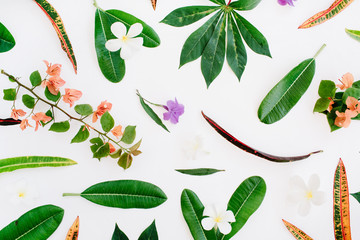 tropical exotic colored leaf pattern on white background. flat lay, top view