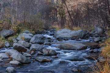 The Leaves have fallen as another Season approaches Sedona Arizona
