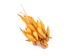 fresh whole rhizome on white background