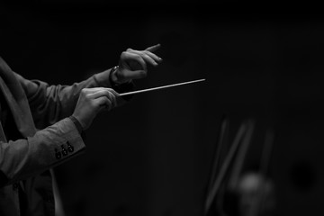  Hands of conductor in black and white © furtseff