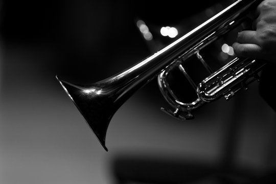 Fragment of a trumpet closeup in black and white 