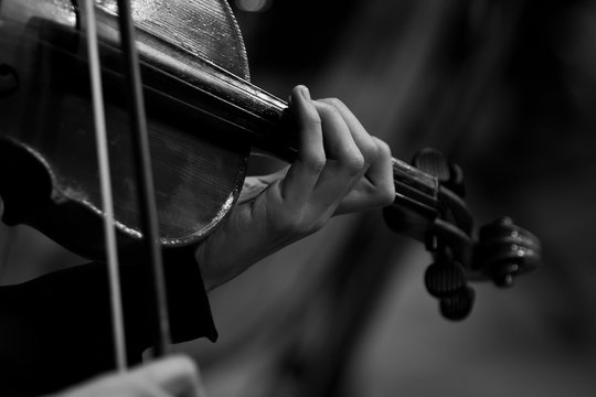 Hands of the girl playing the violin in black and white