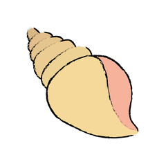 sea shell creature icon vector illustration graphic design