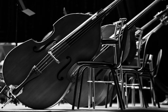  Basses standing on the stage close-up in black and white 