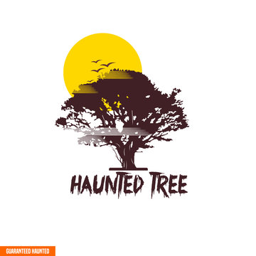 the wood are dark,.. hyyyyy ghost...