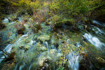 Stream moss