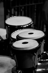 Fototapeta na wymiar Bongo drum in the orchestra in black and white
