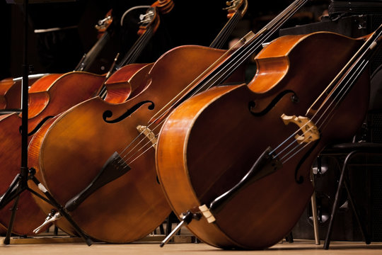 Basses standing on the stage in a symphony orchestra