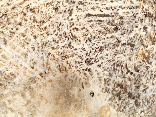 Photos background old wall