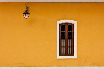 The Window