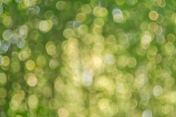 Copy space of nature green bokeh sun light flare and blur leaf abstract texture background.