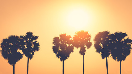 Copy space of tropical palm tree with sun light on sky background.