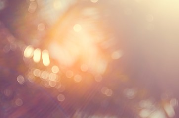 Naklejka premium Copy space of blur palm leaf on blue sky and white clouds with bokeh sun ligth abstract texture background.