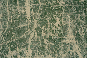 Monochrome image of abstract lines on cement wall. Green tone.