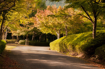 兵庫県多可町・西日の照明
