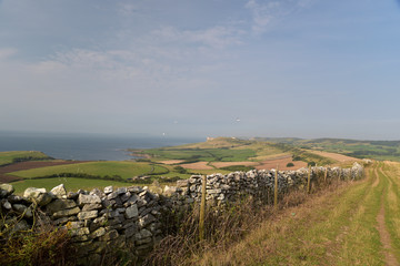 Footpath over Swyre Head on Dorset coast