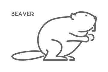 Vector line vector figure of beaver - obrazy, fototapety, plakaty