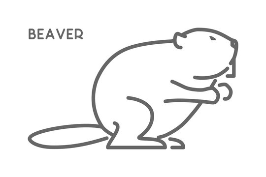 Vector line vector figure of beaver