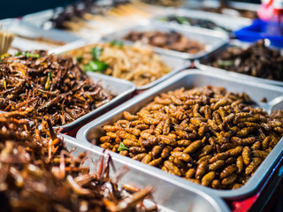 Fried insects on the streets of Khao San Road in Bangkok, Thailand