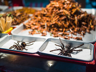 Fried insects on the streets of Khao San Road in Bangkok, Thailand