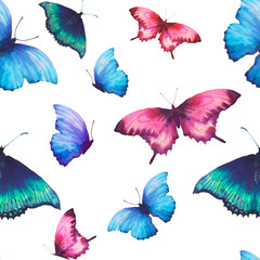 Fototapeta na wymiar Watercolor butterfly seamless pattern. Hand drawn summer texture with various multicolor butterflies on white background. Repeating wallpaper design