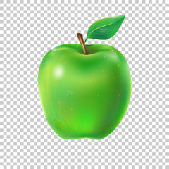 Vector illustration of a juicy apple