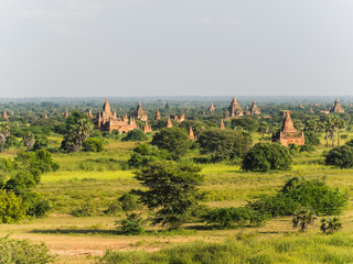 Fototapeta na wymiar View over the temples of Bagan at sunrise