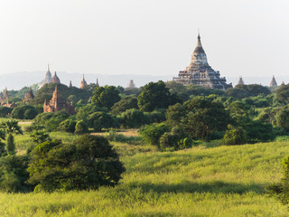 Obraz premium View over the temples of Bagan at sunrise