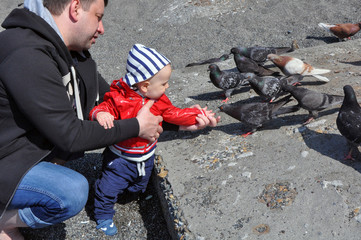 the father and the little kid feed pigeons