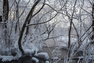 Река Пехорка с инеем на деревьях © spanikratov