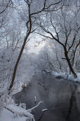 Река Пехорка с инеем на деревьях © spanikratov