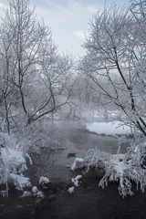 Река Пехорка с инеем на деревьях © spanikratov