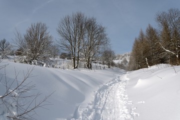 chemin vosgien sous la neige Chalet